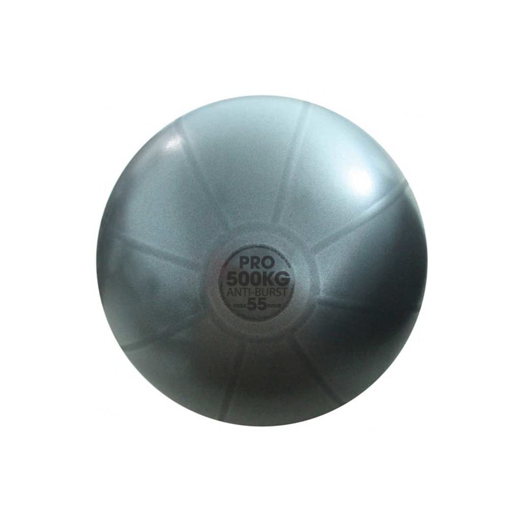 Fitness Mad Anti Burst Swiss Ball, 500kg Load Tested Yoga Ball, Size 55cm, 65cm, 75cm (65cm)