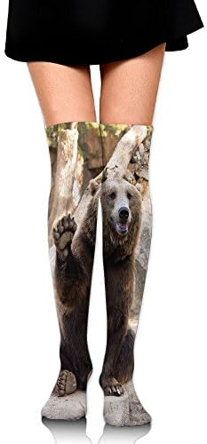 Hizhogqul Friendly Animal Sitting And Waving A Paw In The Zoo Cute Funny Wild Mammal Gesture Women's Fashion Over The Knee High Socks (60cm)