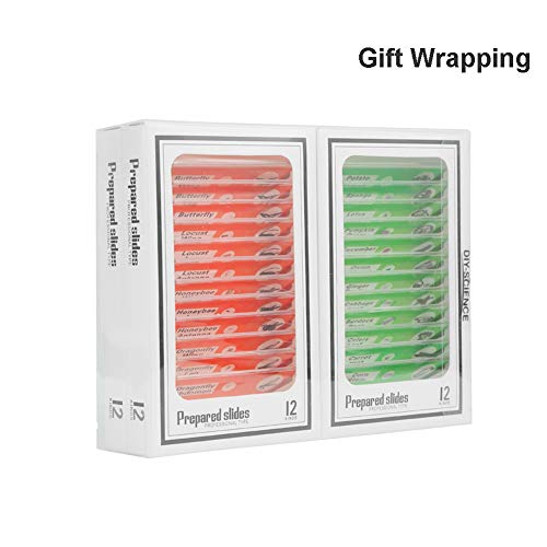 4 Prepared+Microscope+Specimen+Education+DIY+SCIENCE