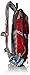 High Sierra Piranha Hydration Backpack, Bright Red/Silver, 2-Liter