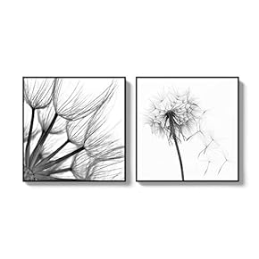 2 Piece Framed Canvas Wall Art for Living Room, Bedroom Transparent Flower Canvas Prints for Home Decoration Ready to Hang - 16"x16"x2 Panels