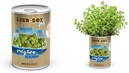 Huerto urbano pequeño – LATA de Cultivo casero de OREGANO – Bote ...