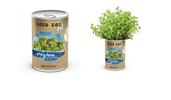 Huerto urbano pequeño – LATA de Cultivo casero de OREGANO – Bote ...