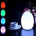 LED Mood Ball Light,WONFAST Rechargeable LED Bedside Table Lamp,Night Light with 16 Color Change and 4 Flash Modes,Suits for Outdoor Indoor Decoration (14x19cm-Egg)