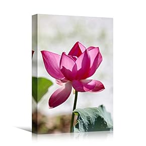 signwin Canvas Wall Art Pink Flower Portraiture Colorful...