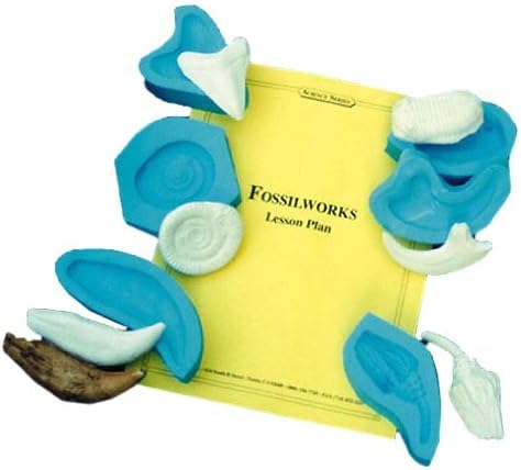 Slullduggery - Fossilworks - Classroom Science Kit