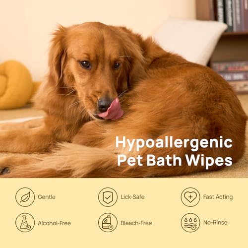 HICC PET Cleaning Deodorizing Glove Wipes for Dogs & Cats, Vet Recommended Hypoallergenic Hydrating & Nourish Fur Pet Grooming Glove Wipes, Pet Bathing Wipes for Horse Coat Care, 20pcs Coconut Scent