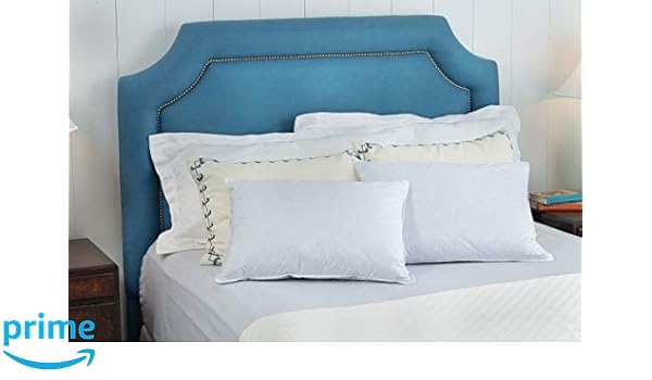 Amazon Com Science Of Sleep Feather And Down Standard Pillow