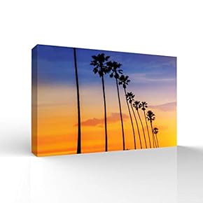 The Palms Under The Sunset Home Artwork for...