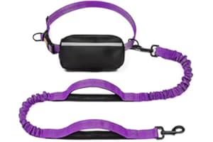 Hands-Free Dog Leash with Waist Belt and Zipper Pouch – Shock Absorbing Bungee Leash with Dual Padded Handles for Walking, Jo