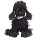 TY Beanie Baby - BIJOUX the Dog