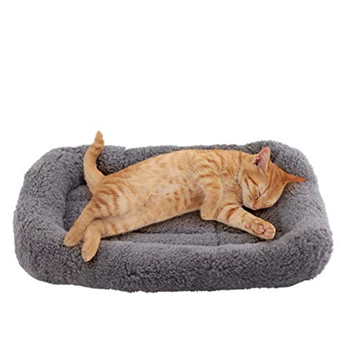 Enjoying Small Pet Mat Bed