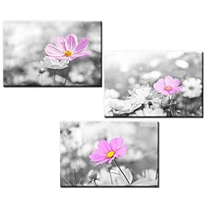 3 Panel Canvas Wall Art - Pink Flowers Against Black and White Background - Giclee Print Gallery Wrap Modern Home Art Ready to Hang - 16"x24" x 3 Panels