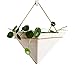 Hanging Planter For Indoor Plants, Geometric Wall Decorative Flower Pot