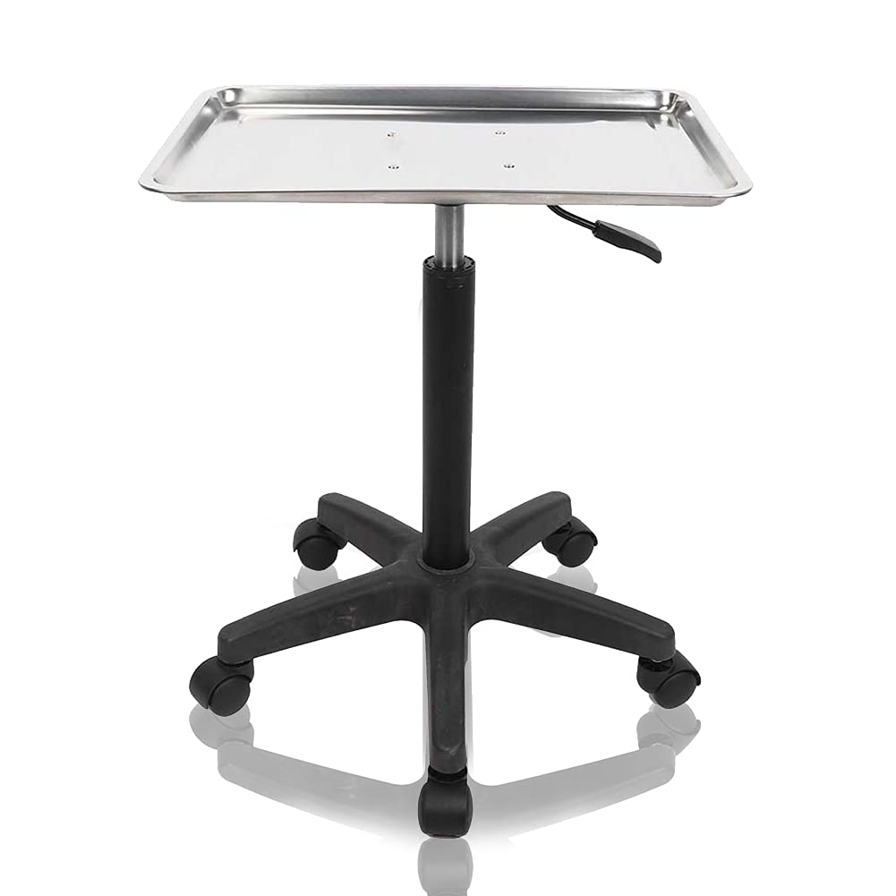 Salon Tray Beauty Rolling Trolley Cart Hair Spa Equipment Height Adjustable Stainless Steelwith Wheels Hairdressing Tattoo Storage(tray): Beauty