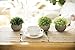 THE BLOOM TIMES 2 Pcs Fake Plants for Bathroom/Home Office Decor, Small Artificial Faux Greenery for House Decorations (Potted Plants)