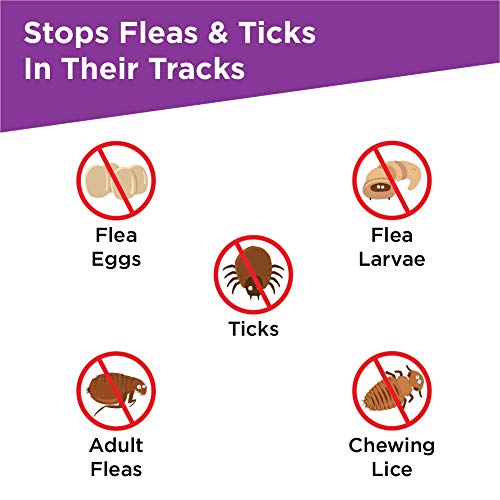 5 Frontline+Large+pounds+Treatment+Doses