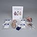 Carolina Comparative Mammalian Organ Dissection Kit Ð Study Eye, Brain, Kidney & Heart Anatomy | Includes Histology Slides | Ngss-Aligned | Preserved in Safe Solution | Ideal for Stations Or Class