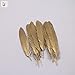 Pack of 12 Natural Goose Feather 15-20CM/5.9-7.9inch Party Decoration Gold