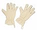 Envision Home Microfiber Dish Drying Gloves, Cream