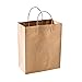 Fun Express Classy Large Brown Kraft Paper Gift Bags - 10.5