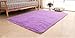 Super Soft Modern Shag Area Rugs Living Room Carpet Bedroom Rug for Children Play Solid Home Decorator Floor Rug and Carpets 4- Feet By 5- Feet Purple