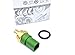 Volkswagen Temperature Sensor - 059-919-501A