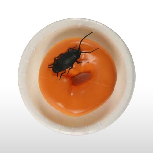 $.99 Jokes - Bagel w/ Cockroach