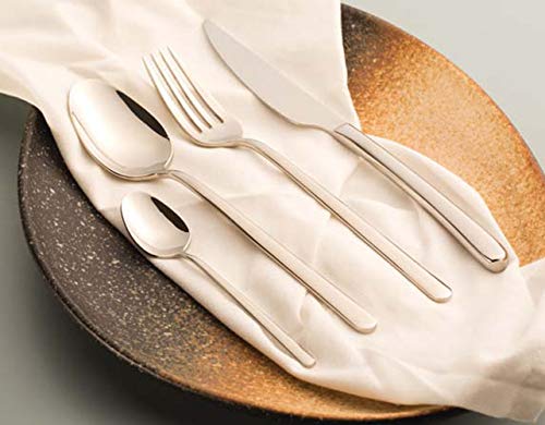 Fine Dine 764671 Amarone 18/10 Chromium-Nickel Steel Coffee Spoon, 119mm Diameter