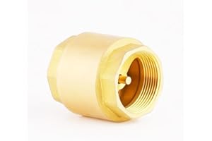 MYWERO 2" One Check Valve, NPT Female Threaded Vertical Check Valve Brass Check Valve for Water Backflow Prevention for oil, Gas-Air Check Valve, Sewage Pump, etc DN50