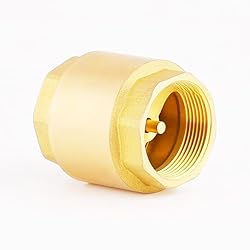 MYWERO 2-1/2" One Check Valve, Female Threaded