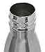 Cayman Fitness Insulated Stainless Steel Water Bottle - 17 oz