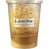 Josh's Frogs Black Drosophila Hydei Fly Culture, 32 oz - Freshly Started | Flightless Live Feeder Insects for Dart Frogs, Fish, Mantids, Toads, Slings, and Other Reptiles, Amphibians, or Animals