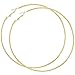 Please Measure! the Most Gigantic Hoops You've Ever Seen! 5