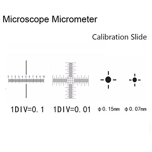 Cross Microscope Calibration Ruler Slides 0.1mm High Precision Ocular