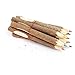 Twigs And Branches Fun Pencils- 10 Wooden Log Pencils In Assorted Bright And Vibrant Colors - Amazing Kids Students Gift Party Favor, Great Fun To Write With! By Mega Stationers