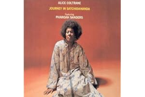 Journey In Satchidananda