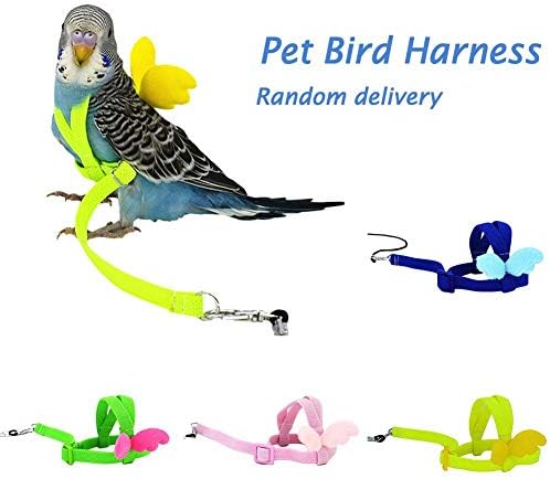 Morningtime Bird Harness and Leash Adjustable Parrot Bird Leash Outdoor Elastic Resistant Leash for Budgerigar Lovebird Cockatiel Mynah Small Birds (Random Color)