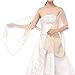 Soffte Cloud Sheer Chiffon Women Evening Shawls and Wraps for Dresses Champagne