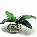 JAROWN Artificial Orchid Leaves Green 2pcs 10 Inches
