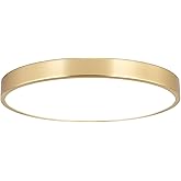 SOTTAE 9 Inch Brushed Gold Metal Flush Mount LED Ceiling Light,3000K-5000K Thin Round Low Profile Ceiling Lamp,Modern Surface