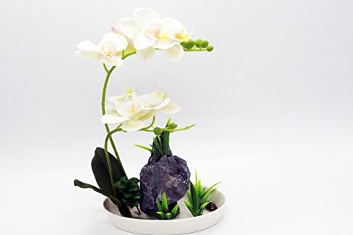 Leeman Artificial Lifelike Real Touch Flowers Arrangement Phalaenopsis Bonsai Orchid Miniascape Home Decoration Holiday Gift (White 538)