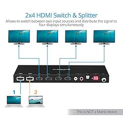 gofanco HDMI 2.0 2x4 Switcher Splitter with Audio