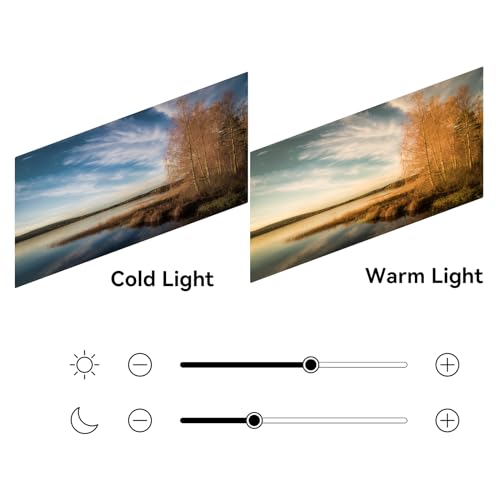 Bigme B251 Epaper Color Monitor 25.3 Inch Screen