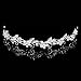 Topwedding Rhinestone Wedding Tiara Headband Bridal Floral Headpiece Hair Jewelry Women Girls