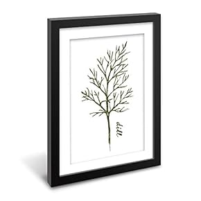 Black Paper Framed Canvas Wall Art...