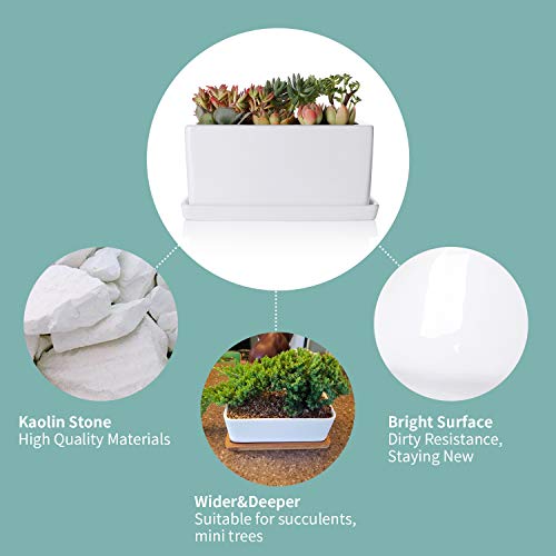 Greenaholics Succulent Plant Pot - 10Inch Rectangle Ceramic Planter with Saucer, Window Box, for Small Plant, White