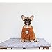 iChoue Pet Dog Winter Warm Sweater Knitted Clothes Turtleneck for French Bulldog Pug Boston Terrier Corduroy Cold Weather Pullover Coat Shirt - Coffee/Size L