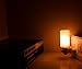 Natural Himalayan Salt Night Light, SCOPOW Nursery Lamp Mini Decorative Night Lighting with Air Purifier ( 15W, E12, 10.58 Ounce, UL Wall Plug ) ( Round Form )