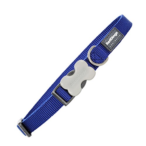 Red Dingo Classic Dog Collar, Small, Dark Blue